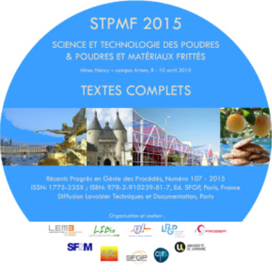 Logo STPMF 2015